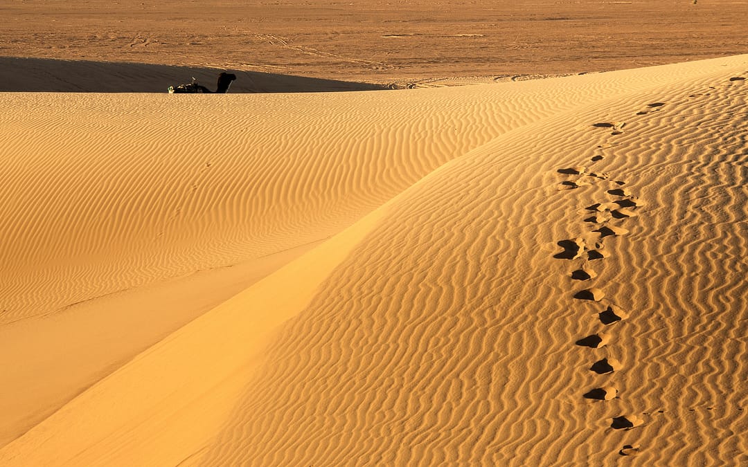 Merzouga desert safari (Marrakech to Fes)