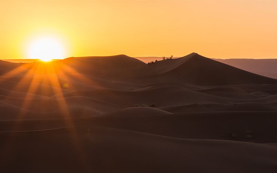 Great caravan trek into Sahara desert