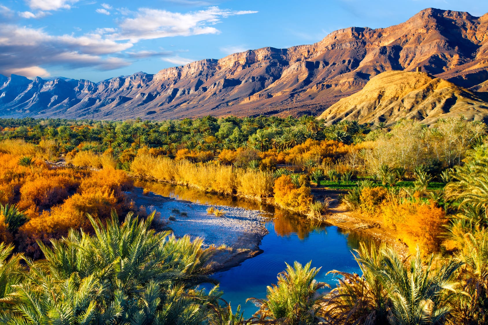 Lush oasis in the Moroccan desert. Aerial view palms and river Draa valley Merzouga desert safari_Travel Tamegroute_Travel Tamgroute